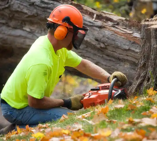 tree services Bliss Corner